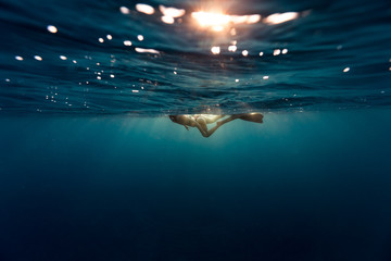 Underwater view of woman swimming on the water surface