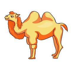 Camel redhead smiling a cartoon. illustration