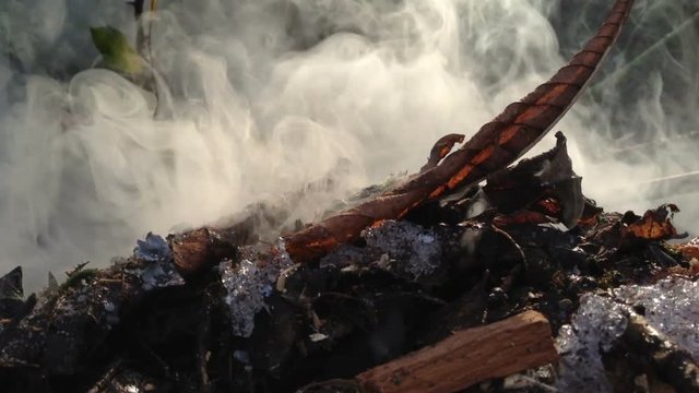 Garden bonfire burning away all the clippings and shrub cuttings