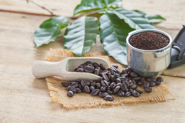 fresh coffee bean and coffee scoop on table