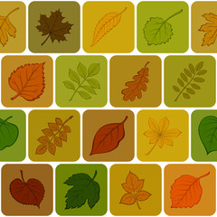 Seamless Background with Autumn Pictogram Leaves of Various Plants, Trees and Shrubs in Squares, Abstract Nature Pattern. Eps10, Contains Transparencies. Vector