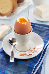 Soft-boilled egg in an egg-cup