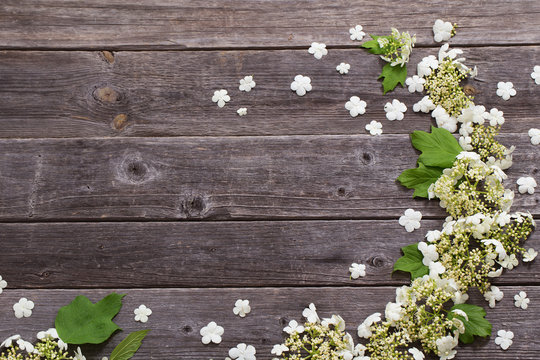 white flowers on old  wooden background