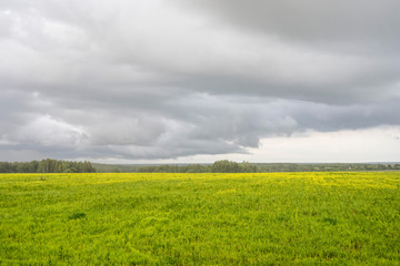 Blossoming meadow at rain with storm clouds
