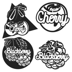 Color vintage fruit emblems
