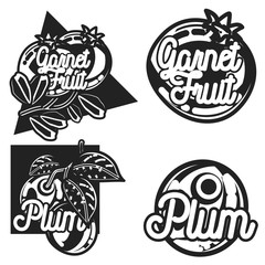 Color vintage fruit emblems