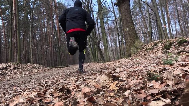 Close up of a runner feet running on forrest road.