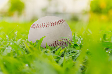 close up old white baseball on green grass background.