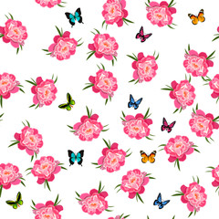 illustration of peony flower