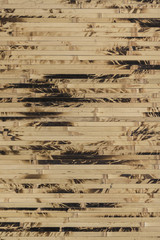 Fototapeta premium Textured bamboo wallpaper close-up, nature background
