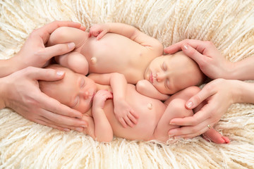 Hands holding newborn twin babies