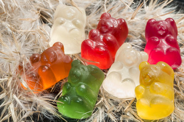 Colored jelly beans close-up scattered on a background of a plant