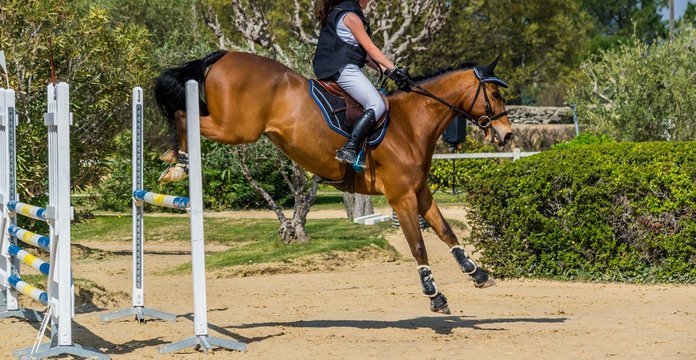 Equitation, saut d'obstacle, compétition.