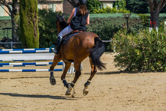 Equitation, saut d'obstacle, compétition.