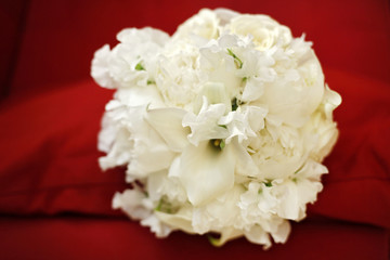 Bouquet bianco su sfondo rosso