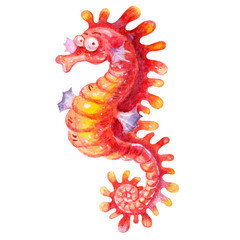 Cartoon watercolor red seahorse illustration isolated on white background. Marine design.Watercolor texture. Used as postcard, invitation,poster.Perfect for kids cartoon magazine.Travel elements