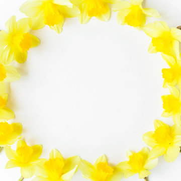 Round frame of narcissus on white background. Flat lay, top view. Floral background. 