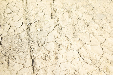 Dry land