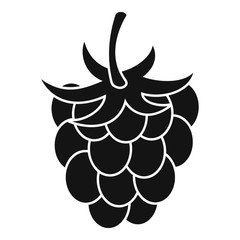 Raspberry or blackberry icon, simple style