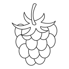 Raspberry icon, outline style
