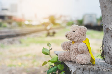A lonely brown bear sitting at the base railway station