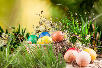 Fototapeta na wymiar Colorful Easter eggs in a basket