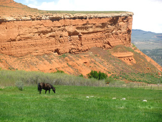 Horse and Red Cliff