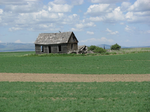 Prairie House