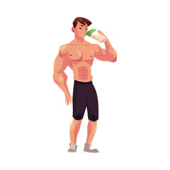 Fototapeta premium Man bodybuilder, weightlifter drinking protein shake after training, cartoon vector illustration isolated on white background. Full length portrait of man bodybuilder drinking protein shake