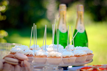A buffet table outdoors. On the table of canapés, sandwiches, champagne and glasses