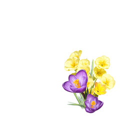 cartoon scene with beautiful and colorful flowers on white background