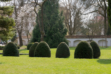 Geschnittenen B&uuml;sche in einem Schlossgarten mit Gartenmauer