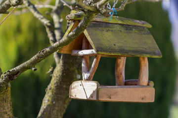 Vogelhaus aus Holz im Baum