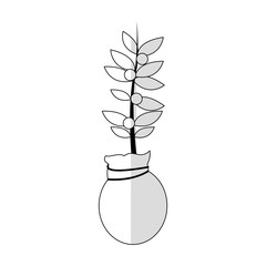 plant in a pot over white background. vector illustration