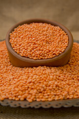 Lentil