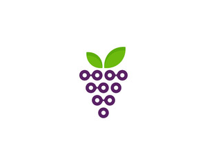 Digital Fruit Icon Logo Design Element