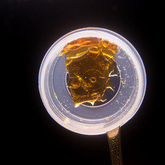 Piece of cannabis oil concentrate aka shatter used by medical marijuana patients