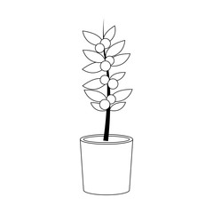 potted plant icon image vector illustration design 