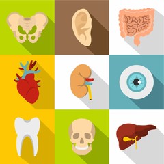 Structure of body icons set, flat style
