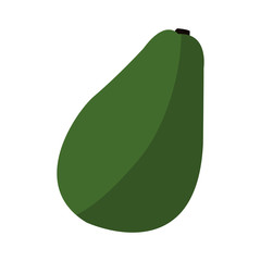 avocado vegetable icon over white background. colorful design. vector illustration