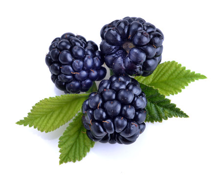 dewberries (blackberries) and green leaves