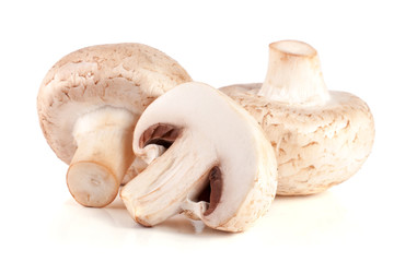 Fresh champignon mushrooms isolated on white background