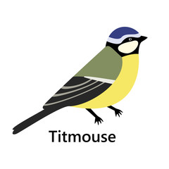 Titmouse color on white background text