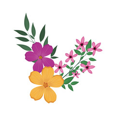 beautiful flowers and leaves icon over white background. colorful design. vector illustration