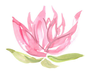 Abstract pastel pink lotus flower with green leaves painted in watercolor on clean white background