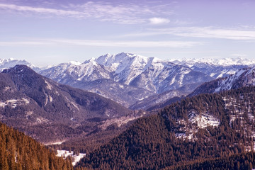 panoramic view of snowy mountains and forest