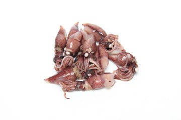 ボイルホタルイカ