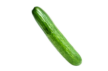one cucumber isolated on white background