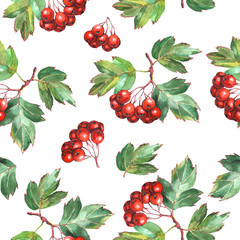 Seamless pattern of watercolor leaves and red berries hawthorn.