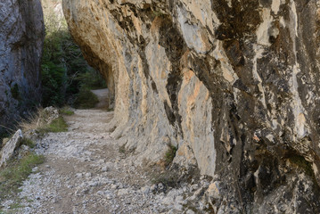 Fototapeta na wymiar Puron River Gorge, Alava, Spain